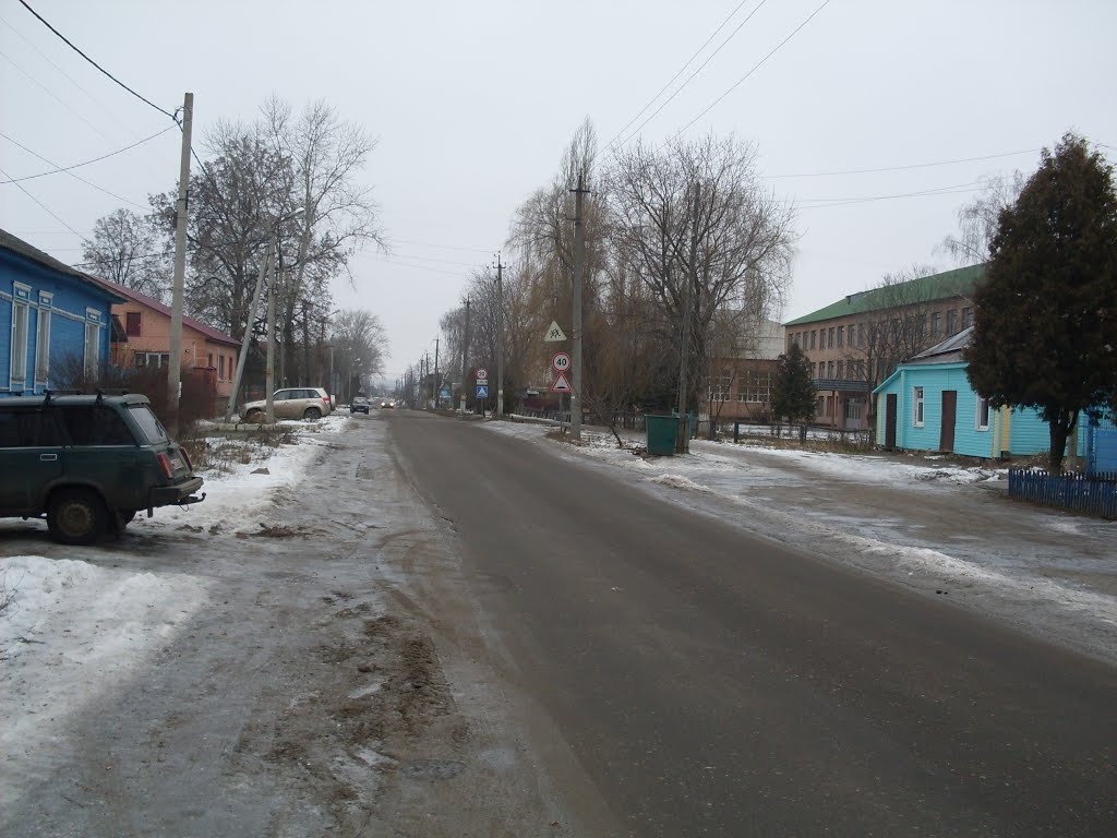 Volodarskii street, Дмитриев-Льговский