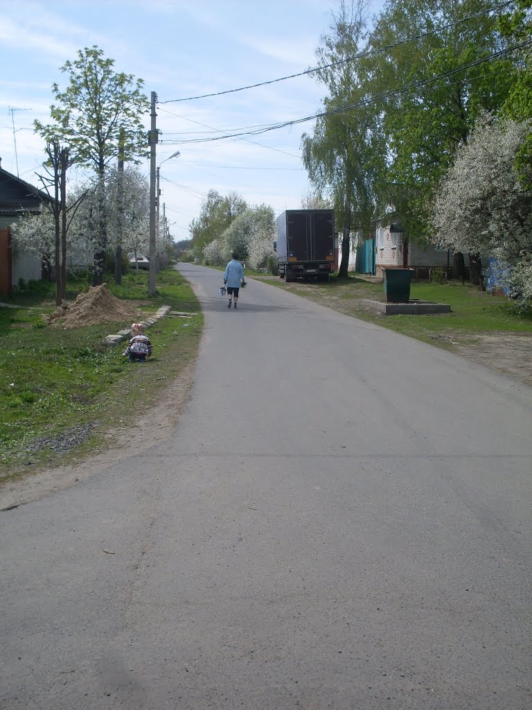 street Patio, Дмитриев-Льговский