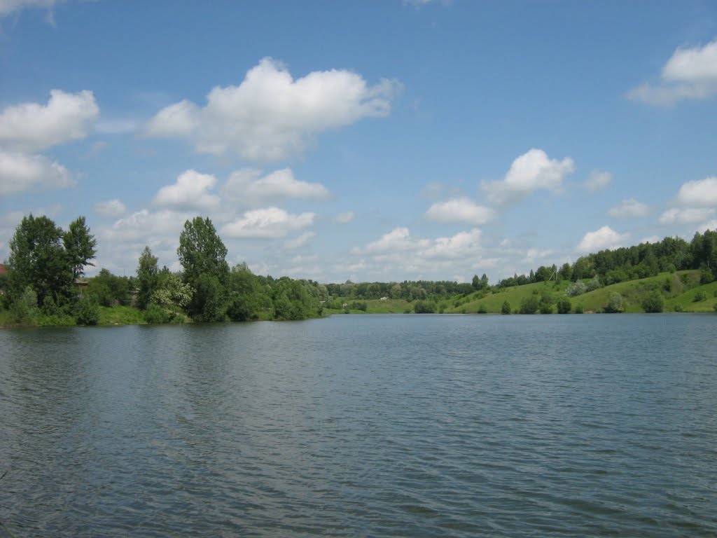 Крупецкой пруд, с плотины, Дмитриев-Льговский