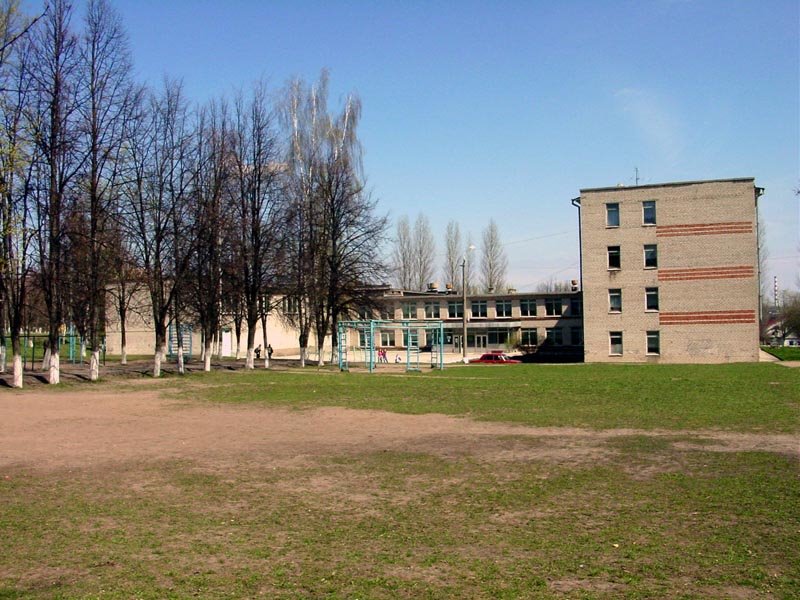School Number 5, Железногорск