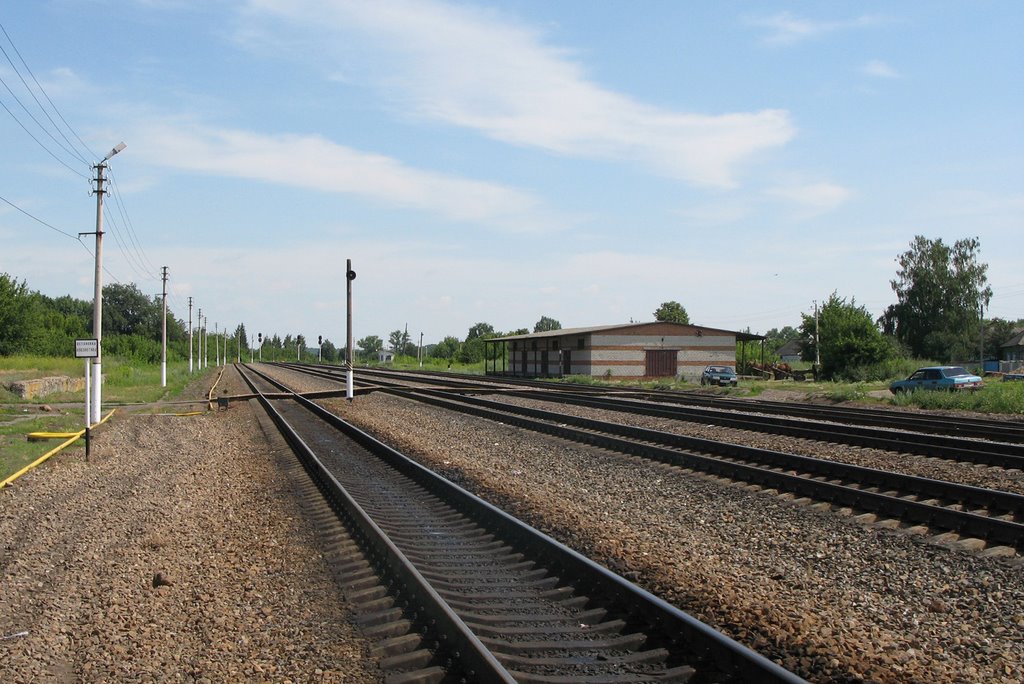 Станция Конышевка Моск. ЖД, Конышевка