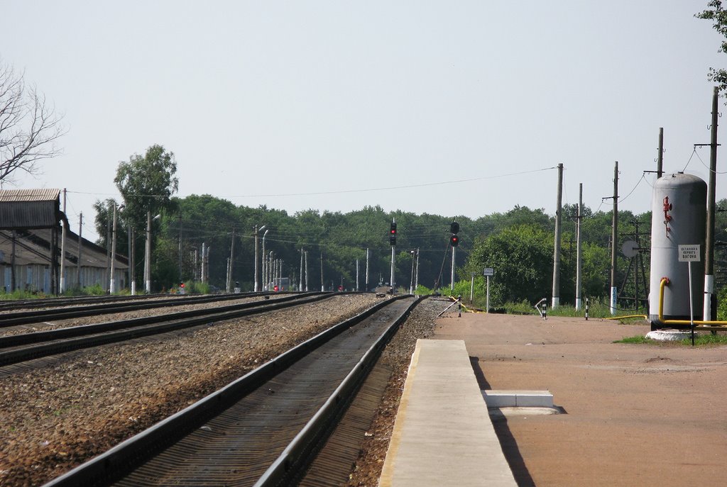 Станция Конышевка, Конышевка
