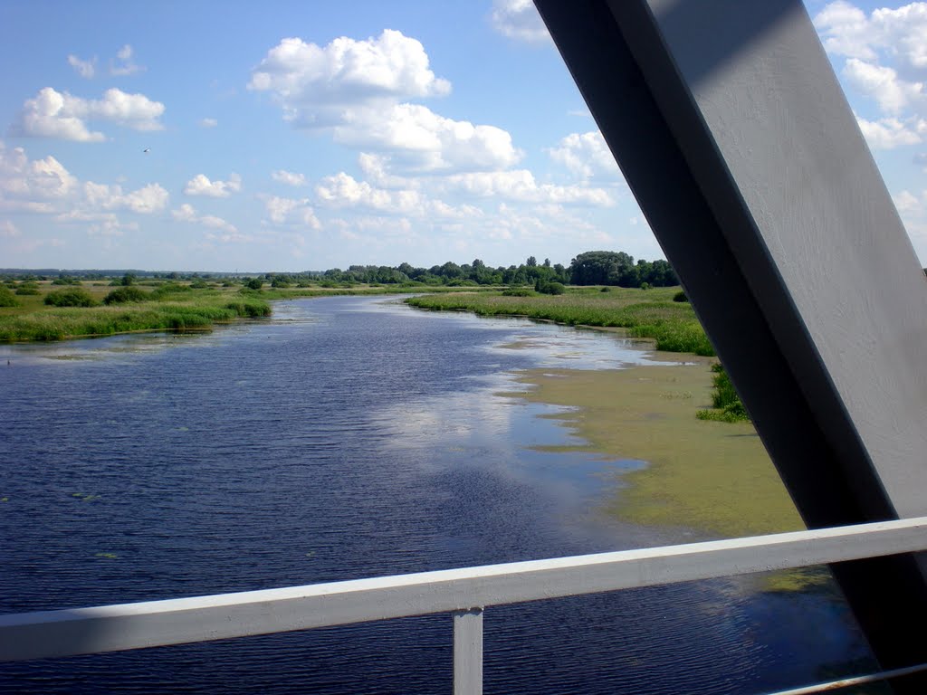 Вид с моста., Коренево
