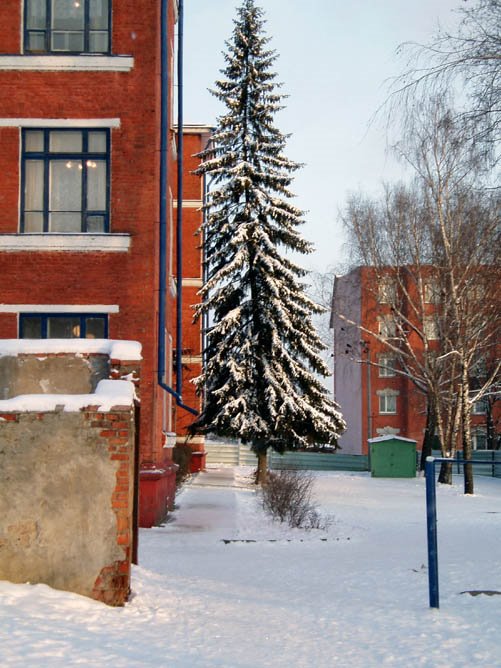 School 32 in December, Курск