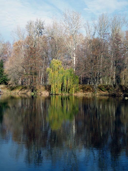 Roun pond, another side, Курск
