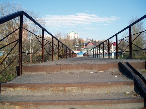 Bridge from Streletskaya, Курск