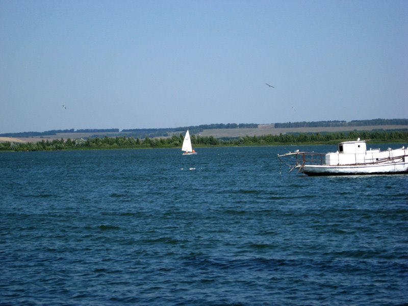 Kurchatov sea, Курчатов