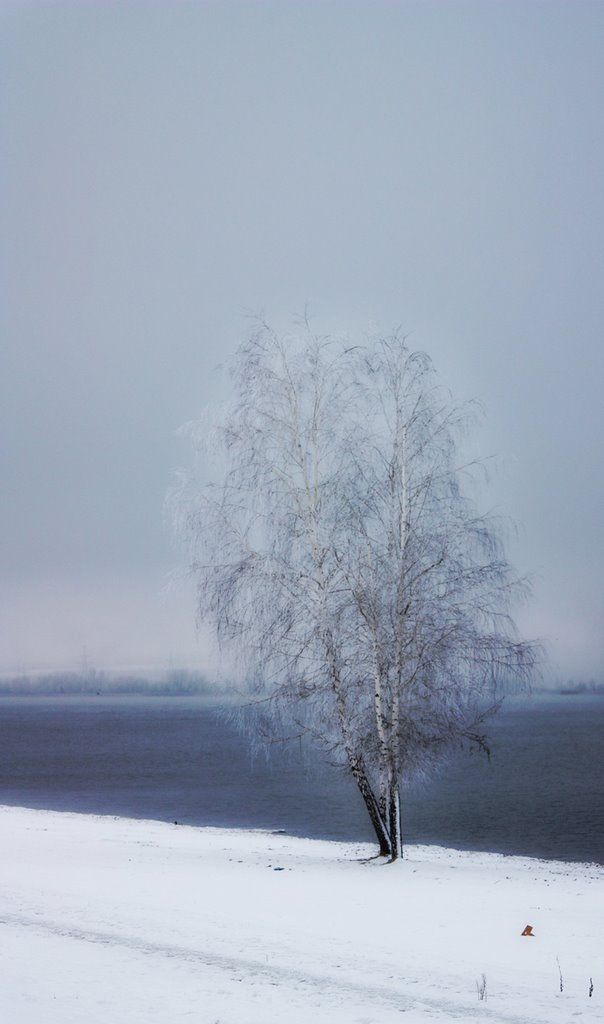 Winter tree, Курчатов