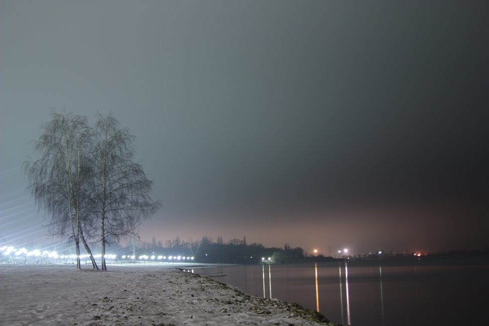 Night tree, Курчатов