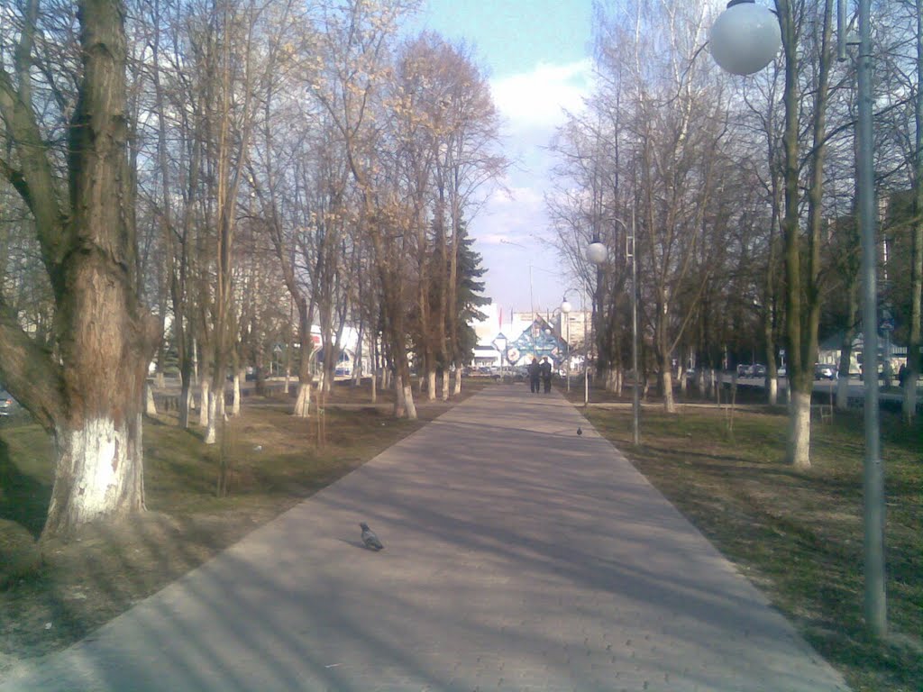 Аллея, на проспекте Комунистическом - г.Курчатов - (вид на площадь И.В. Курчатова), Курчатов