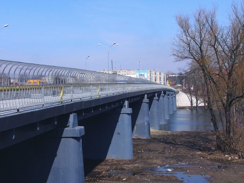Мост через реку Сейм, Льгов