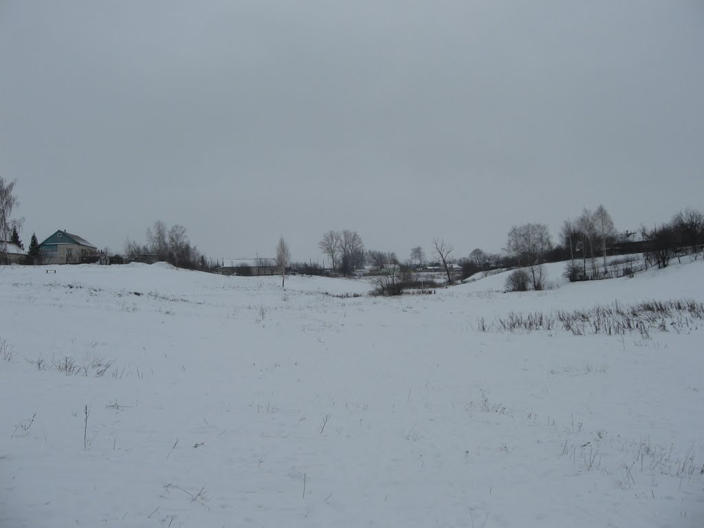 Поныровский луг (январь 2011), Поныри
