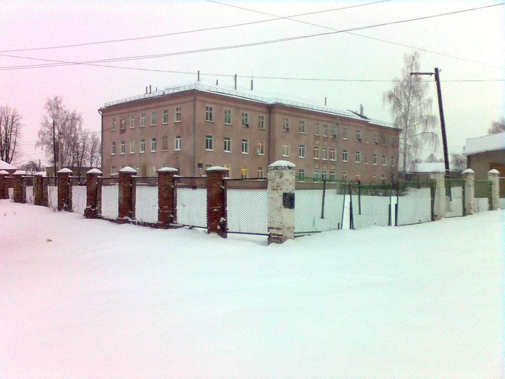 The central regional hospital, Пристень