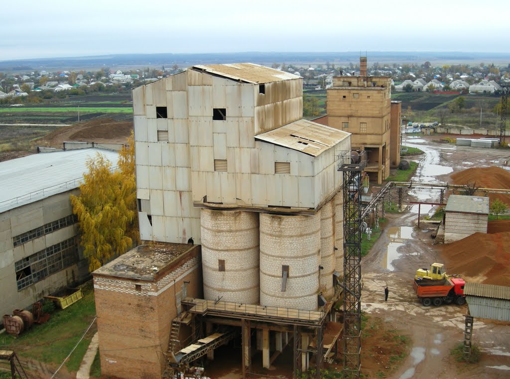 Цементный завод 1, Прямицыно