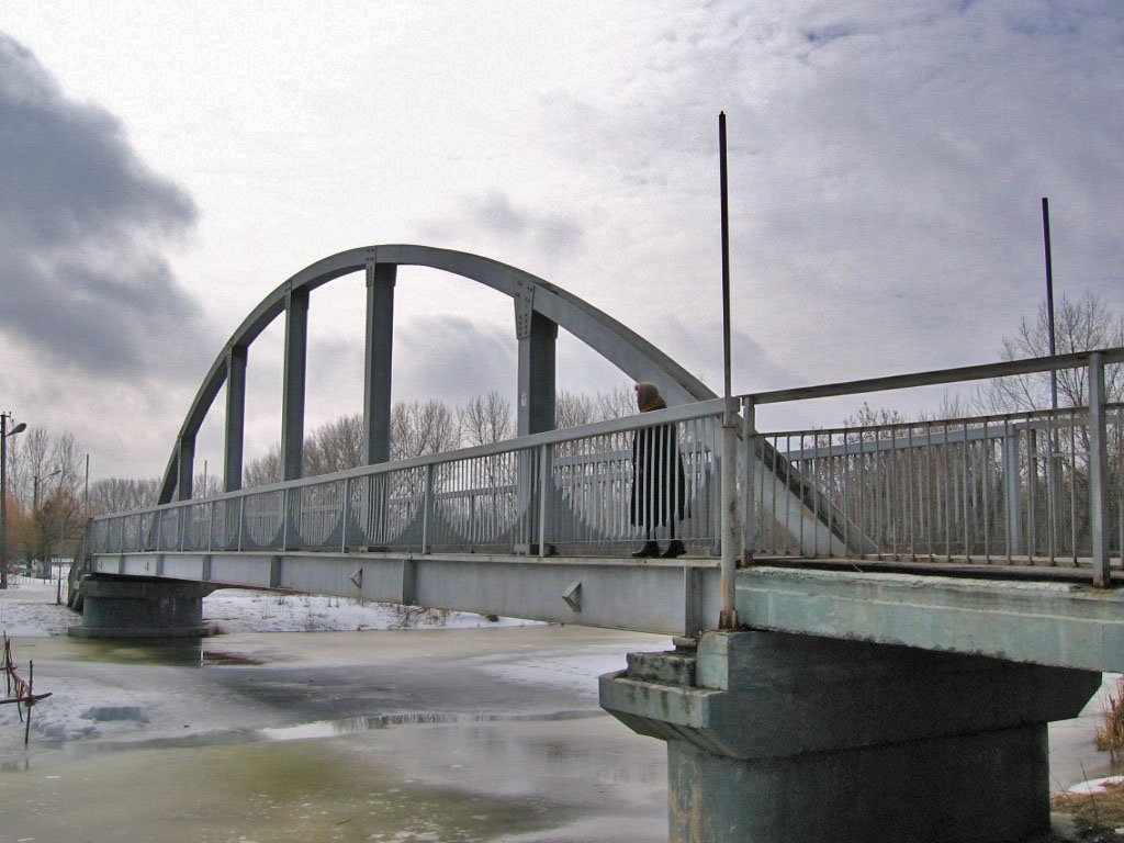 pedestriam bridge across Sudzha river (пешеходный мост через реку Суджа), Суджа