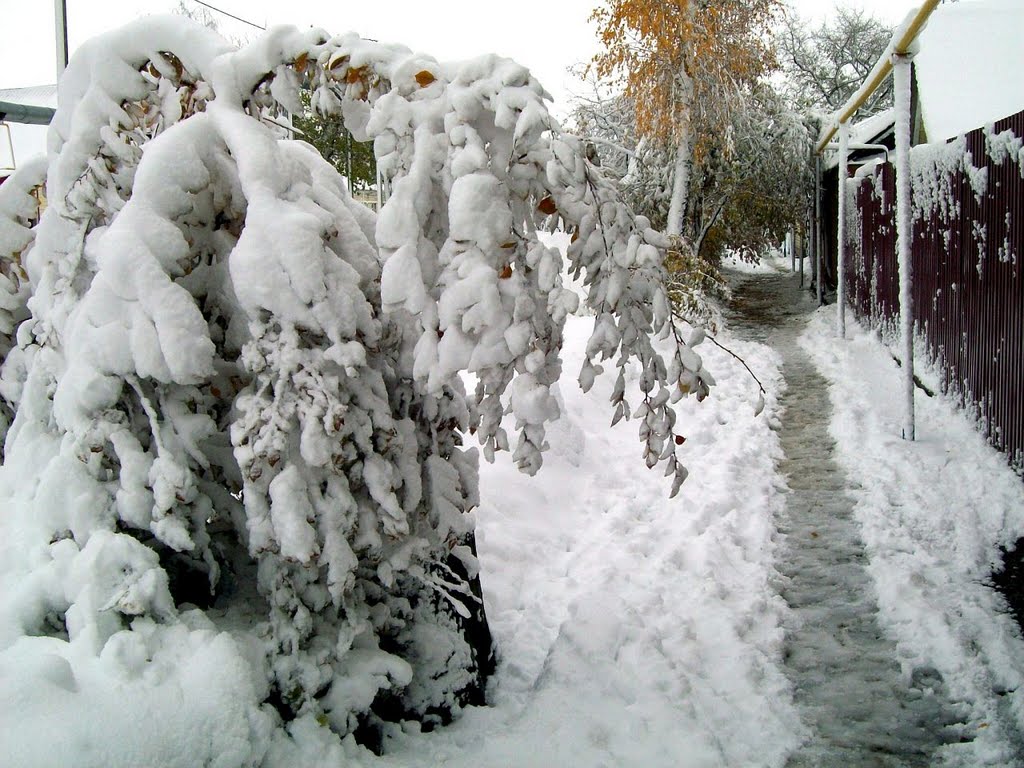 ул.Ленина первый снег октябрь 2010г. 3, Тим