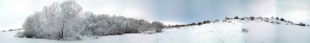 Первый снег 2010г. Панорама, Тим