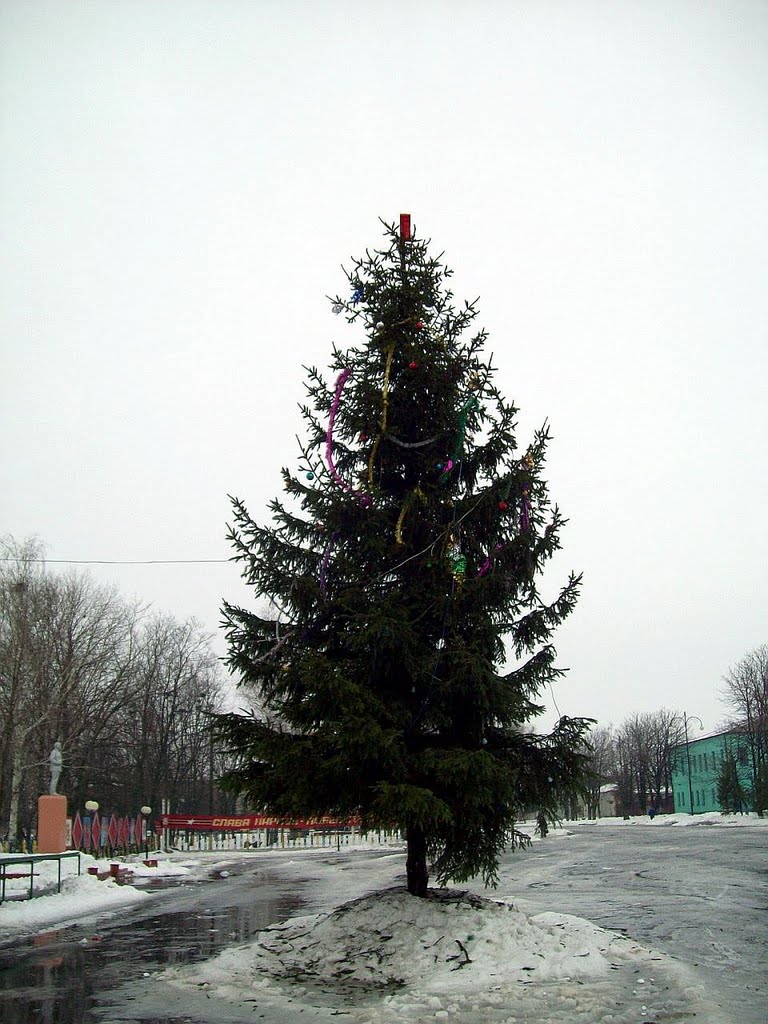 Merry Christmas and Happy New Year to all friends Panoramio  25.12.2010г., Тим