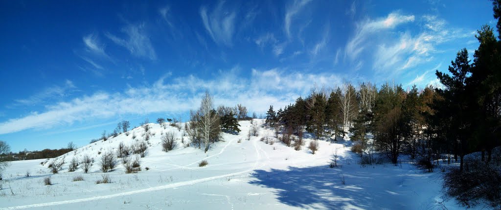 Зимняя панорама февраль 2011г. Winter panorama, Тим