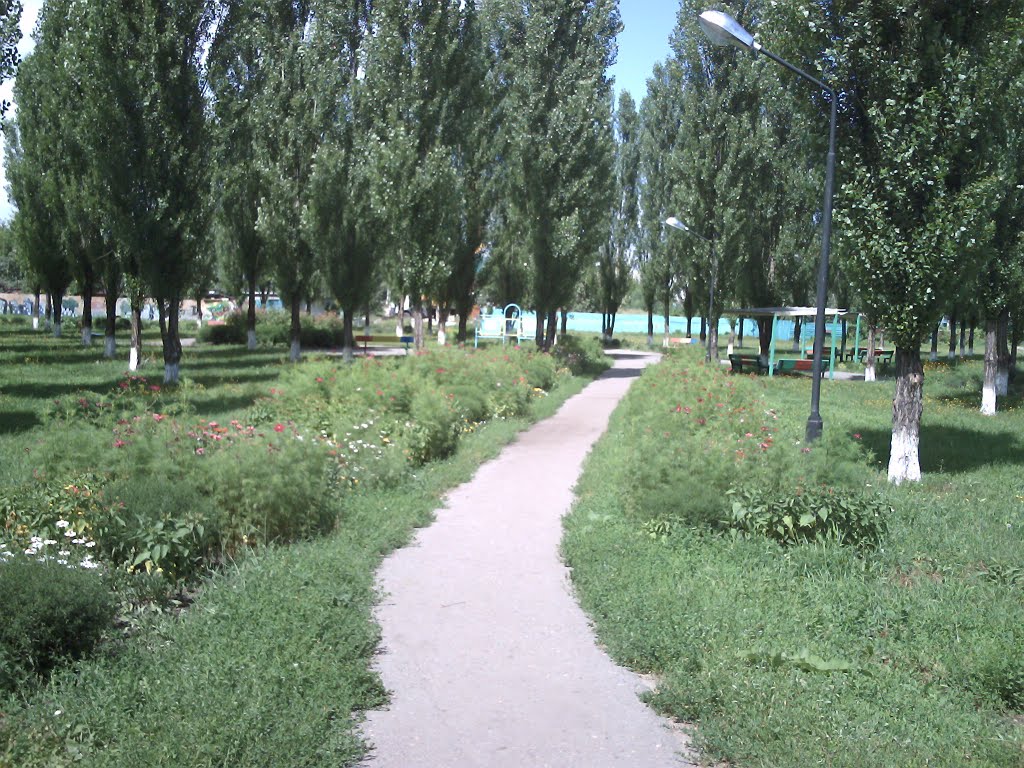 Парк с тополями / Park with poplars, Грязи