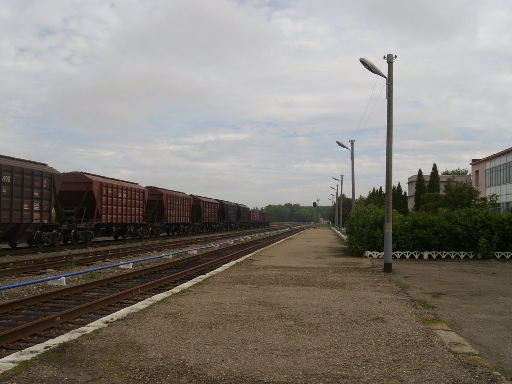 Станция Данков, Данхов