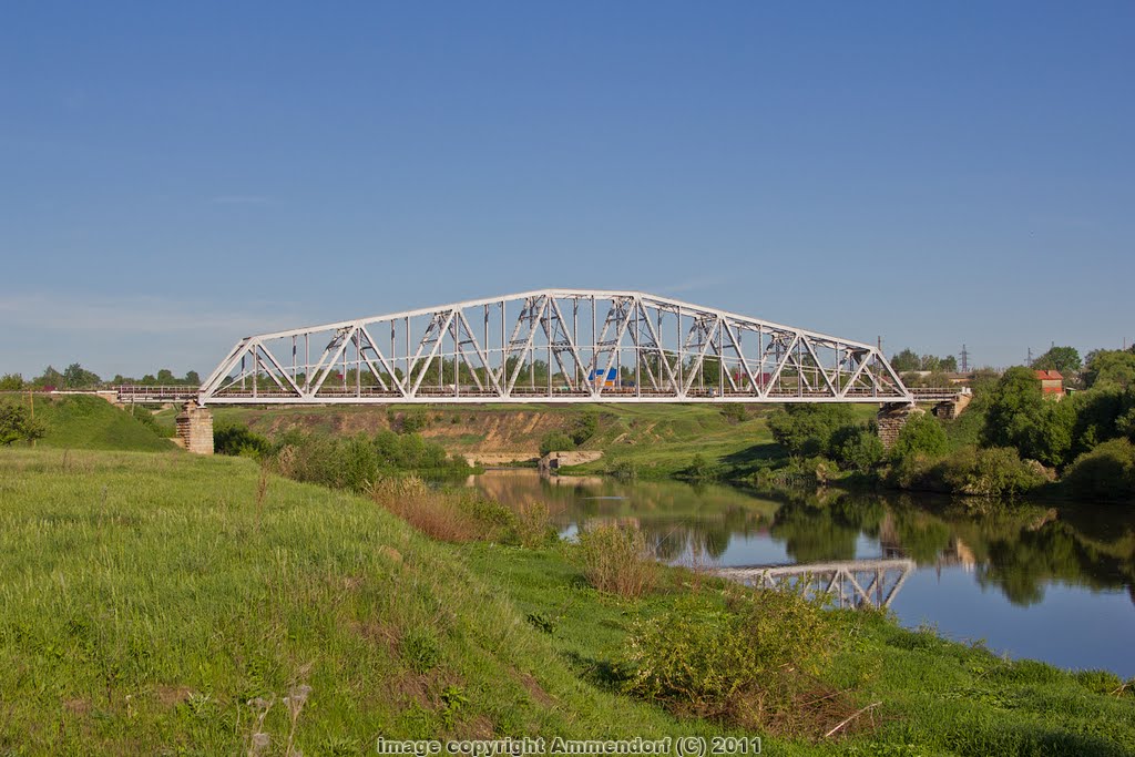 Железнодорожный мост через Дон, Данхов