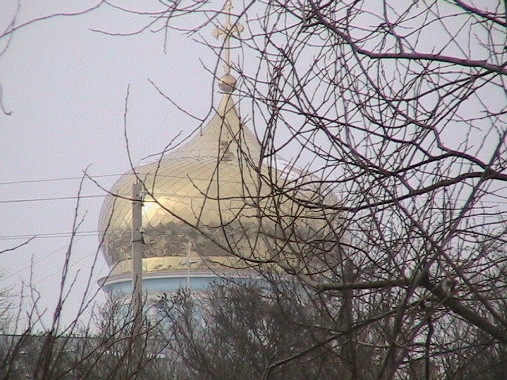 собор с другого берега зимой, Данхов