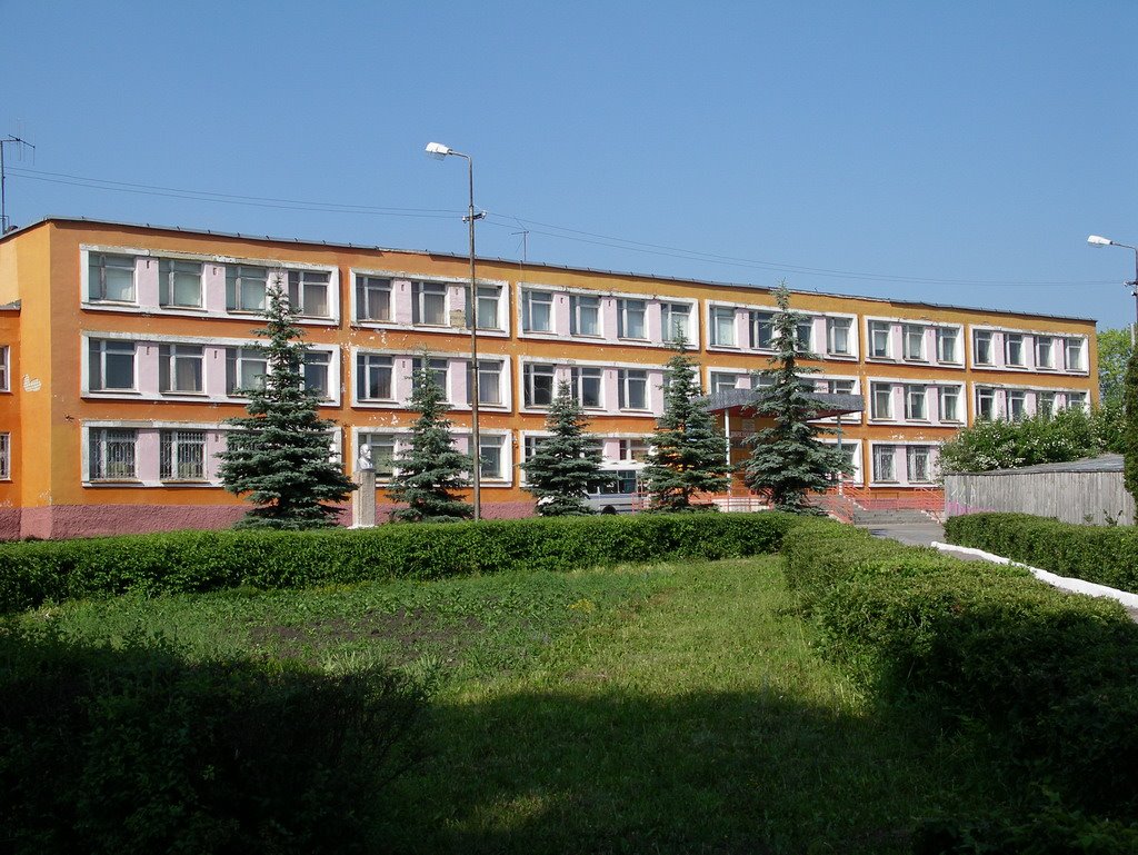 Школа №1, Задонск