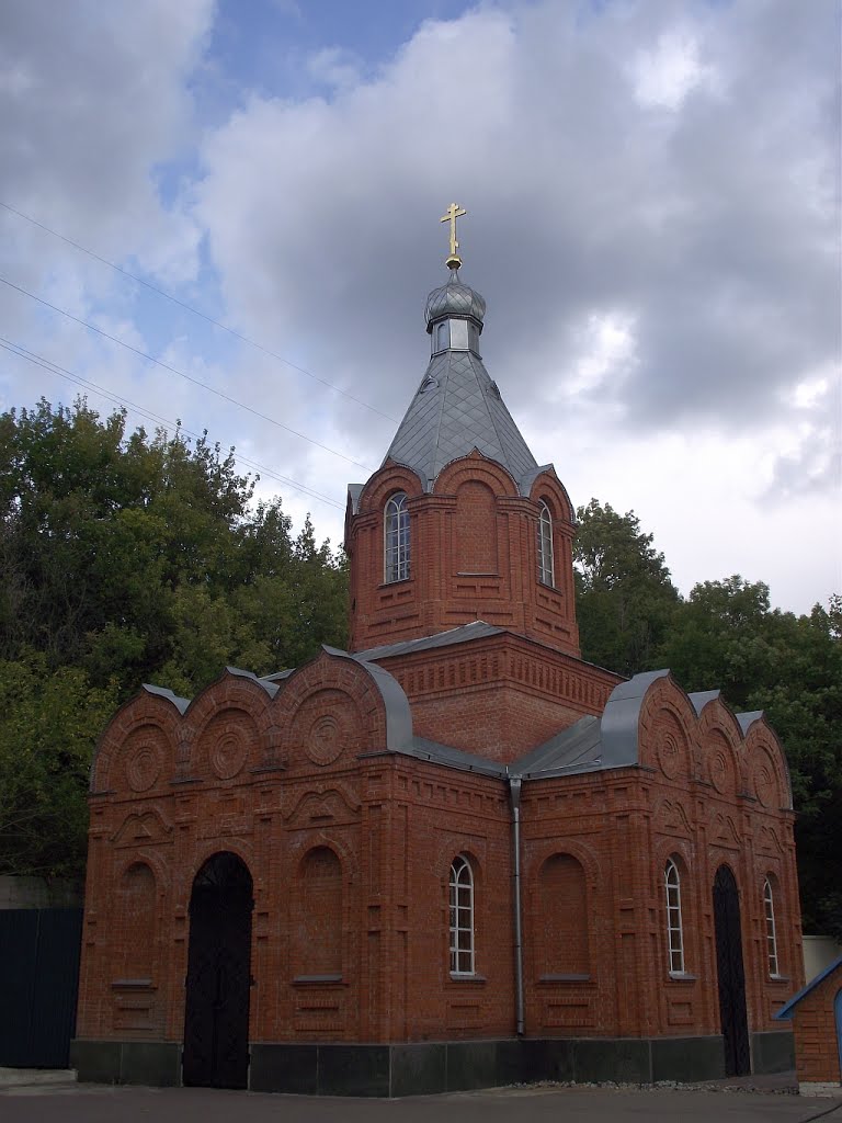 Церковь Божией Матери "Живоносный Источник", Задонск