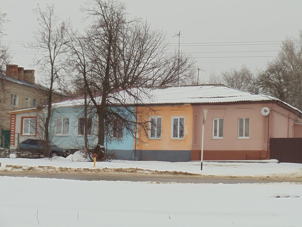 Разноцветный дом, Задонск