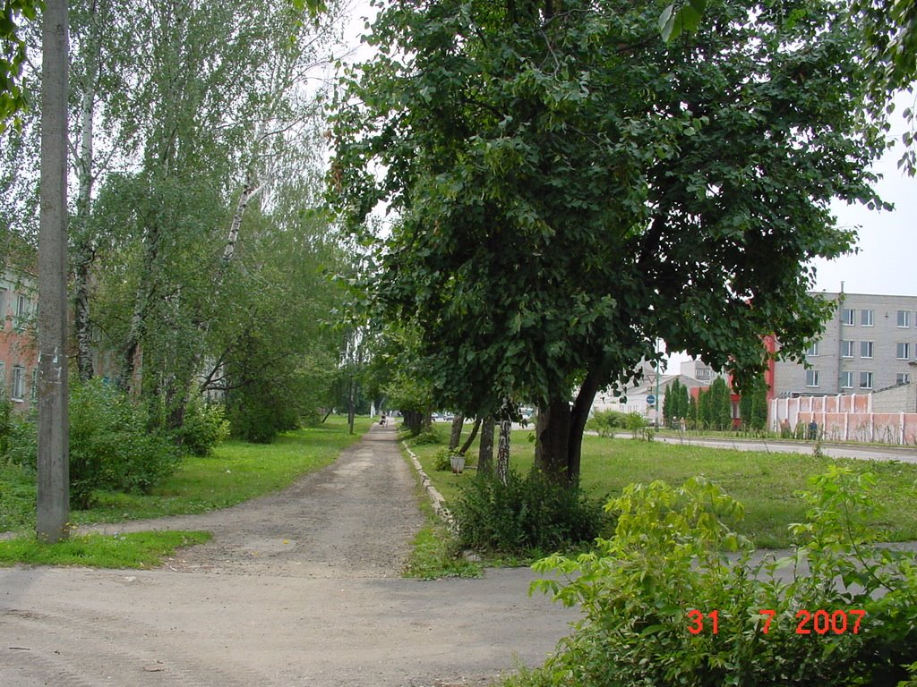 Тротуар на ул. Советской, Лебедянь