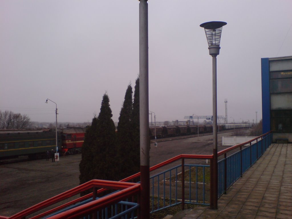 Станция "Лебедянь" [Railroad stantion "Lebedyan"], Лебедянь