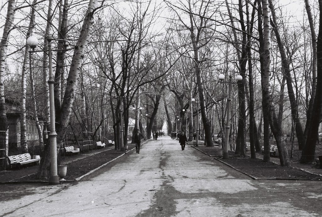 Lipetsk - Pathway in the Park - Photo 1969, Липецк