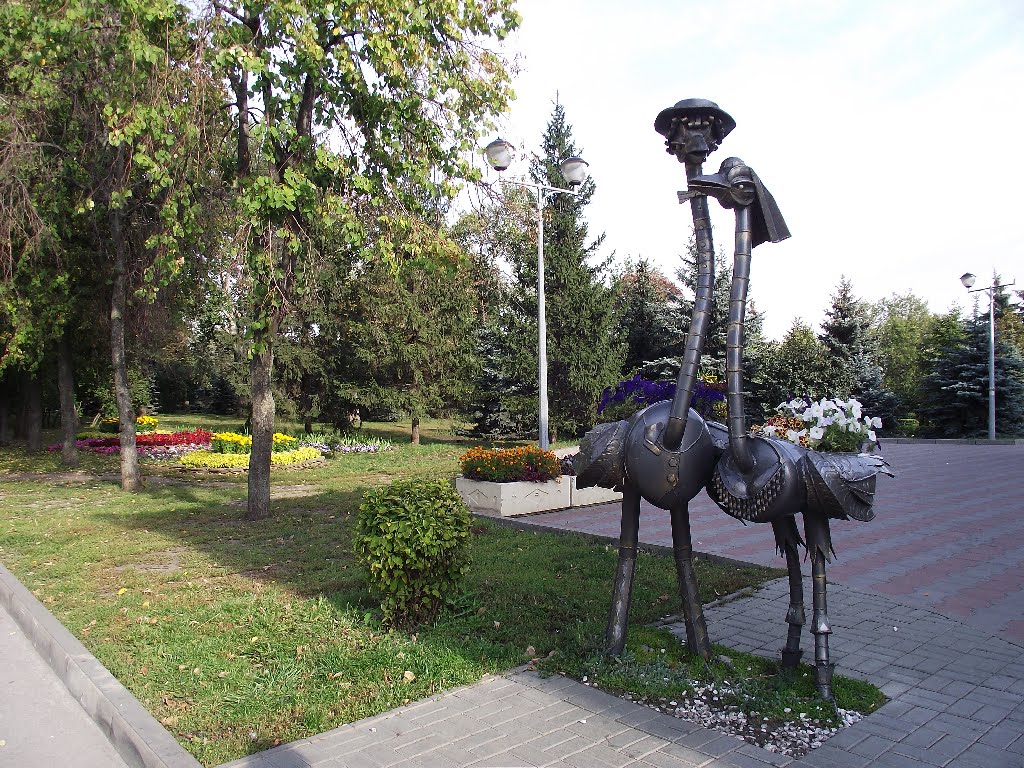 Новобрачные страусы, Липецк