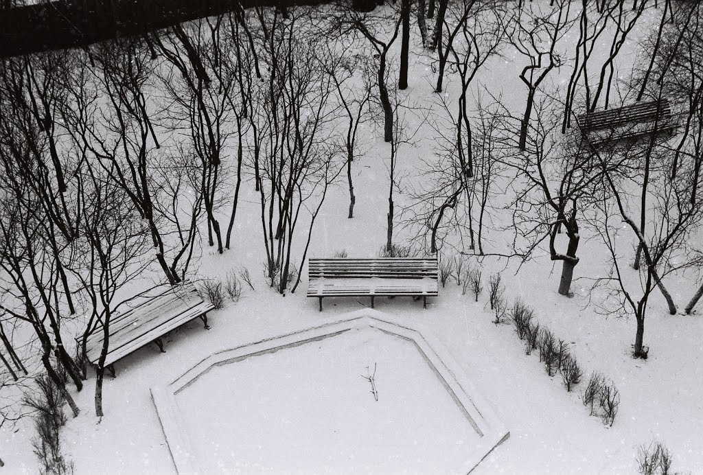 Lipetsk, Russia,Winter Scene. Photo taken in 1969, Липецк