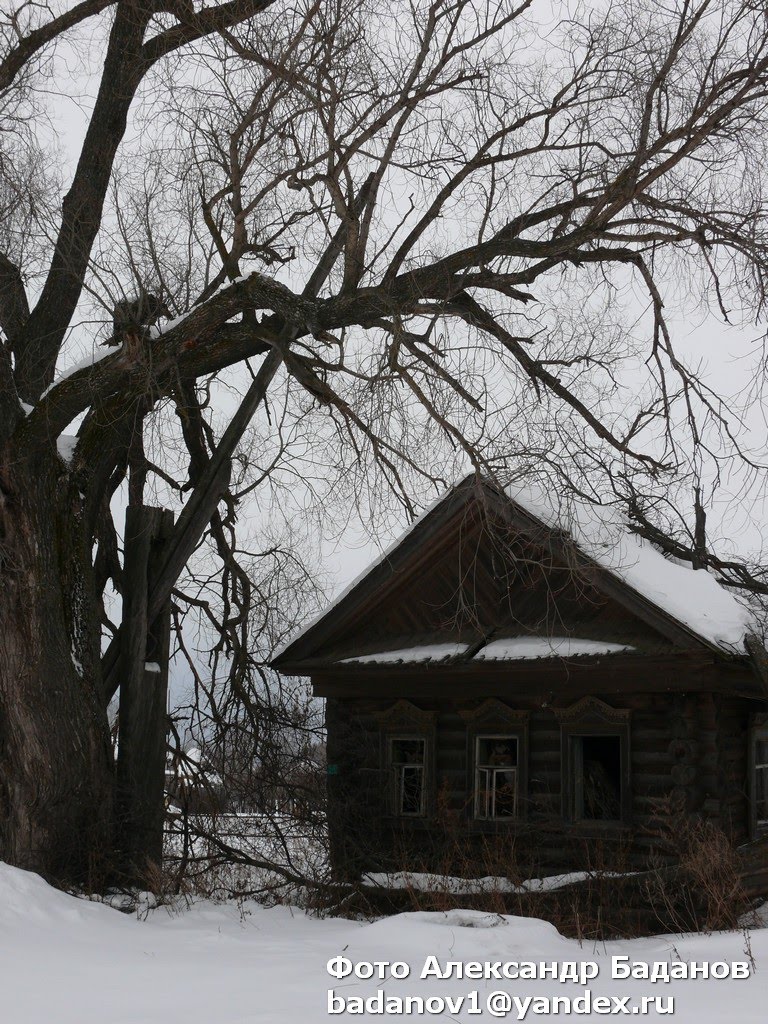Старый дом, Дубовский