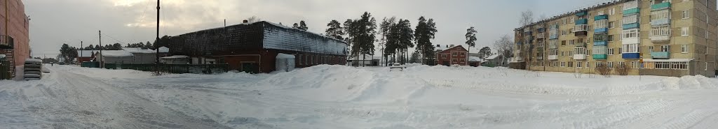 Зима (Panoramio), Звенигово