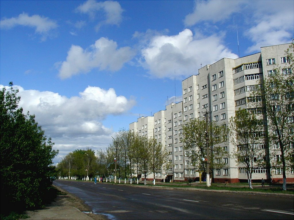 Самый большой дом ), Козьмодемьянск