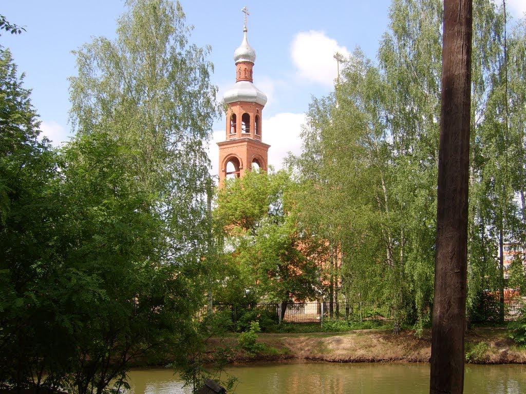Церковь (вид с зоопарка), Медведево