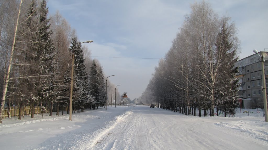 Оршанка зимой, Оршанка