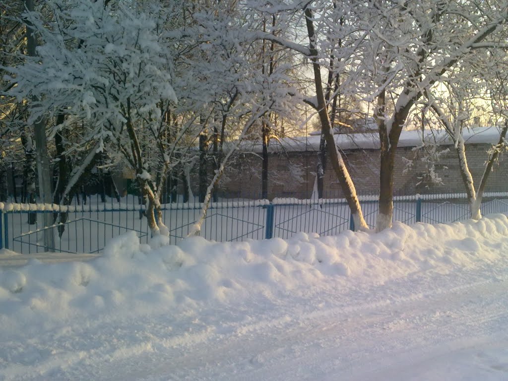 Зима в Параньге, Параньга