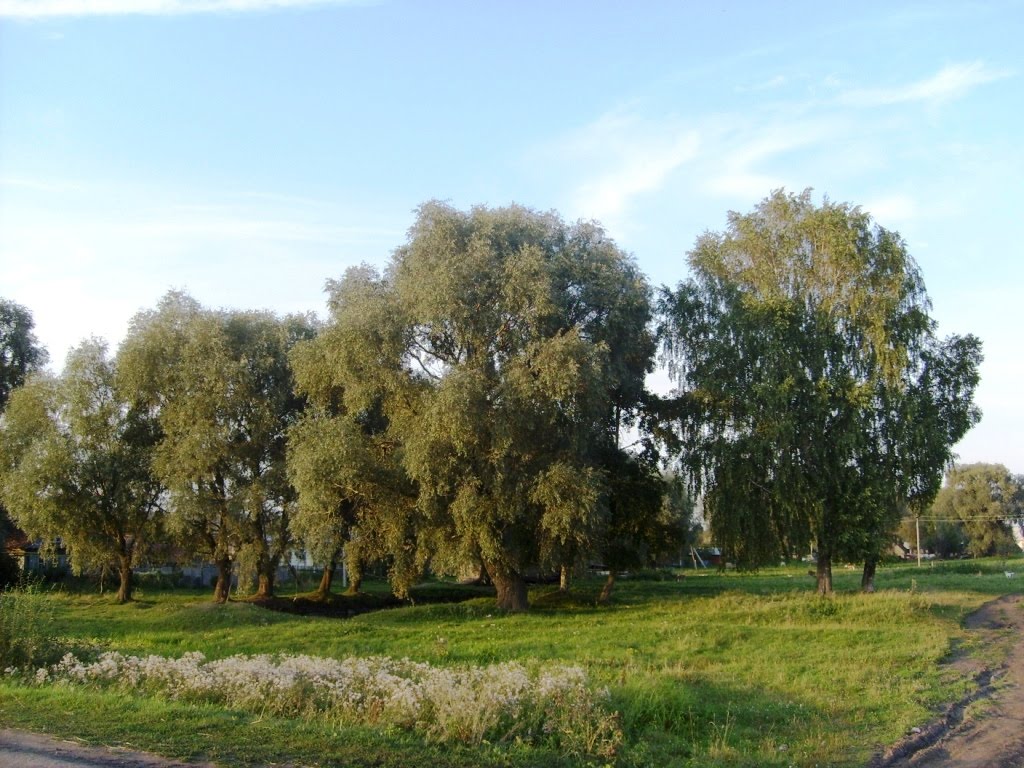 Сельский пейзаж, Большое Игнатово
