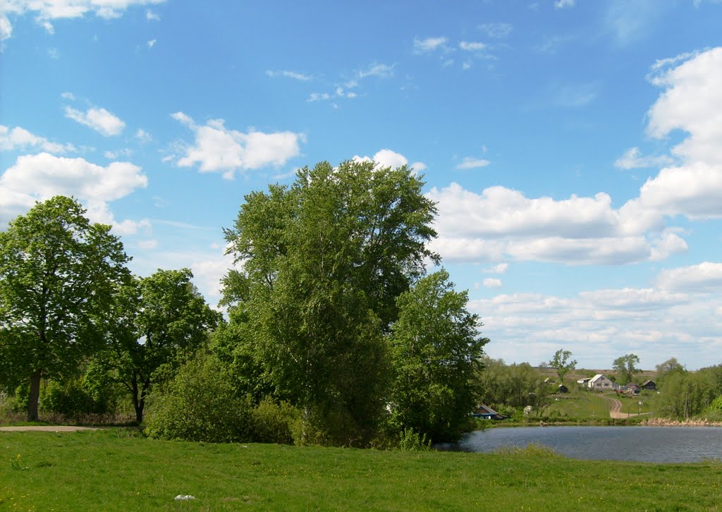 Столовский пруд (Чищай), Большое Игнатово