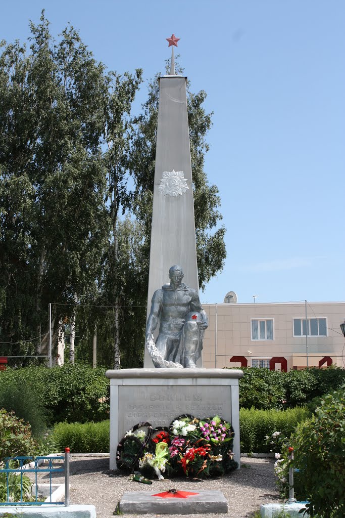 Памятник погибшим воинам, Ельники
