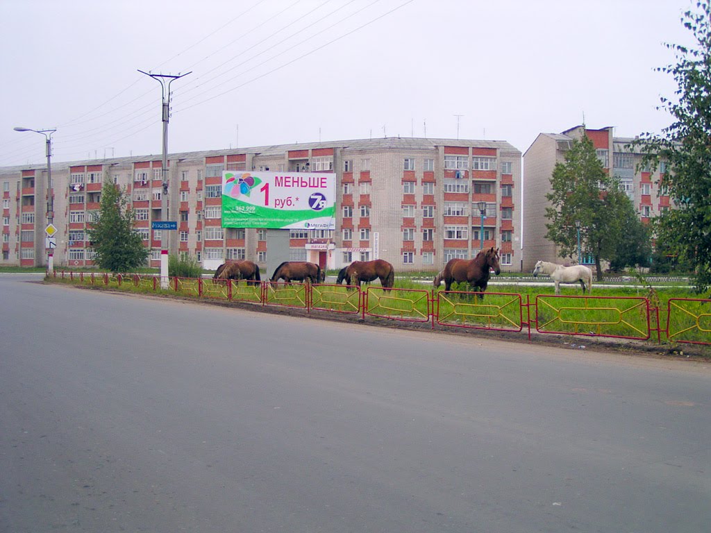 кони на газоне, Краснослободск