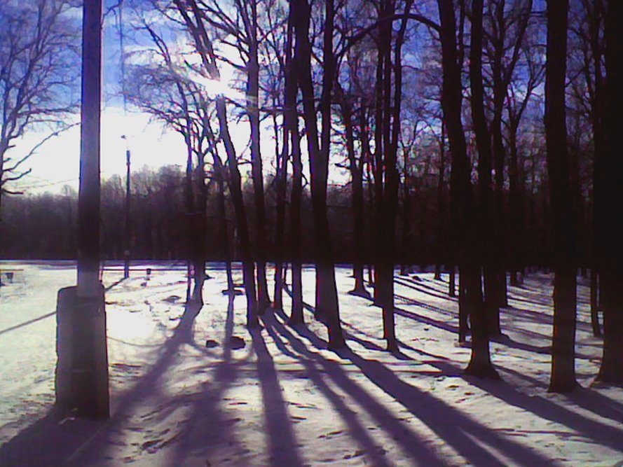 Парк зимой, Рузаевка