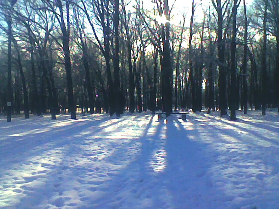 Парк Зимой, Рузаевка