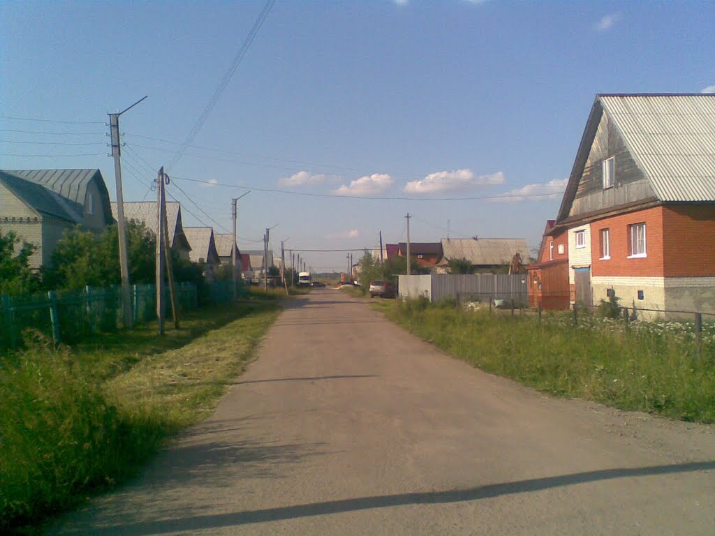 Улица Строительная, Торбеево