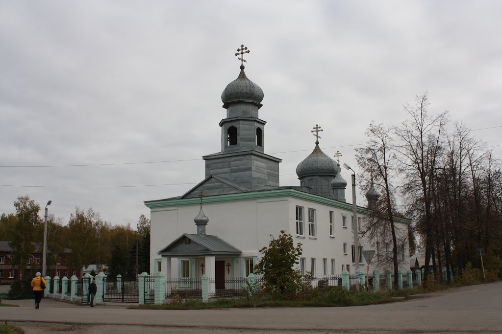 Петропавловская церковь, 1990-е годы, Торбеево