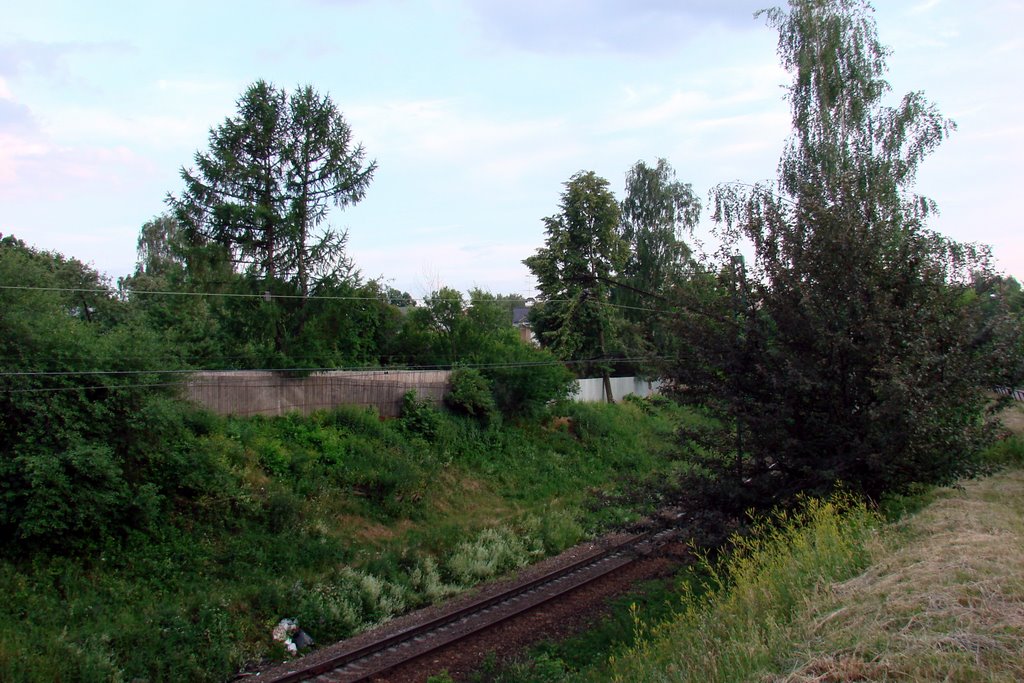 The railway near the station Bolshevo, Королев